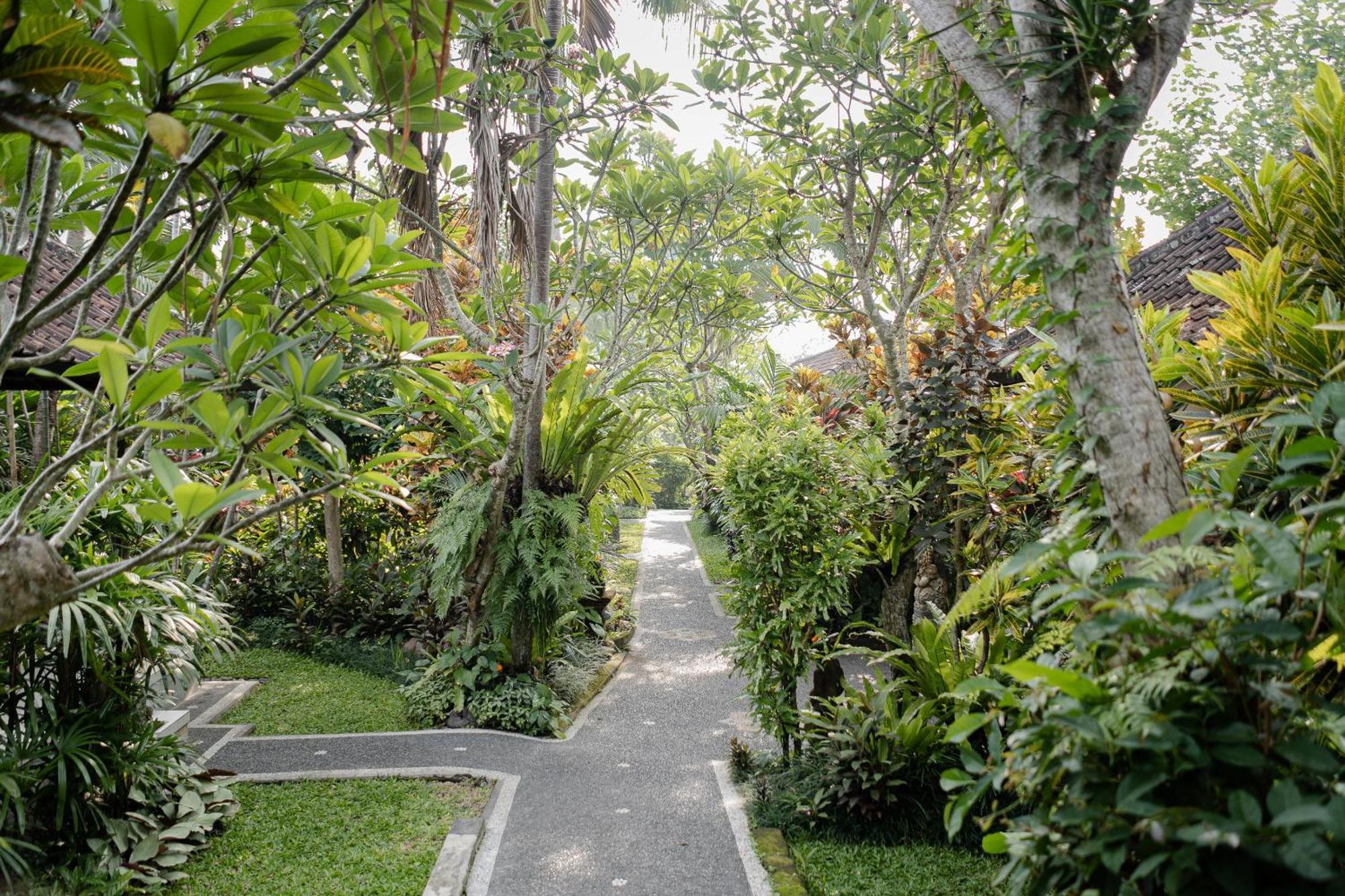 Sama'S Cottages And Villas Ubud Esterno foto